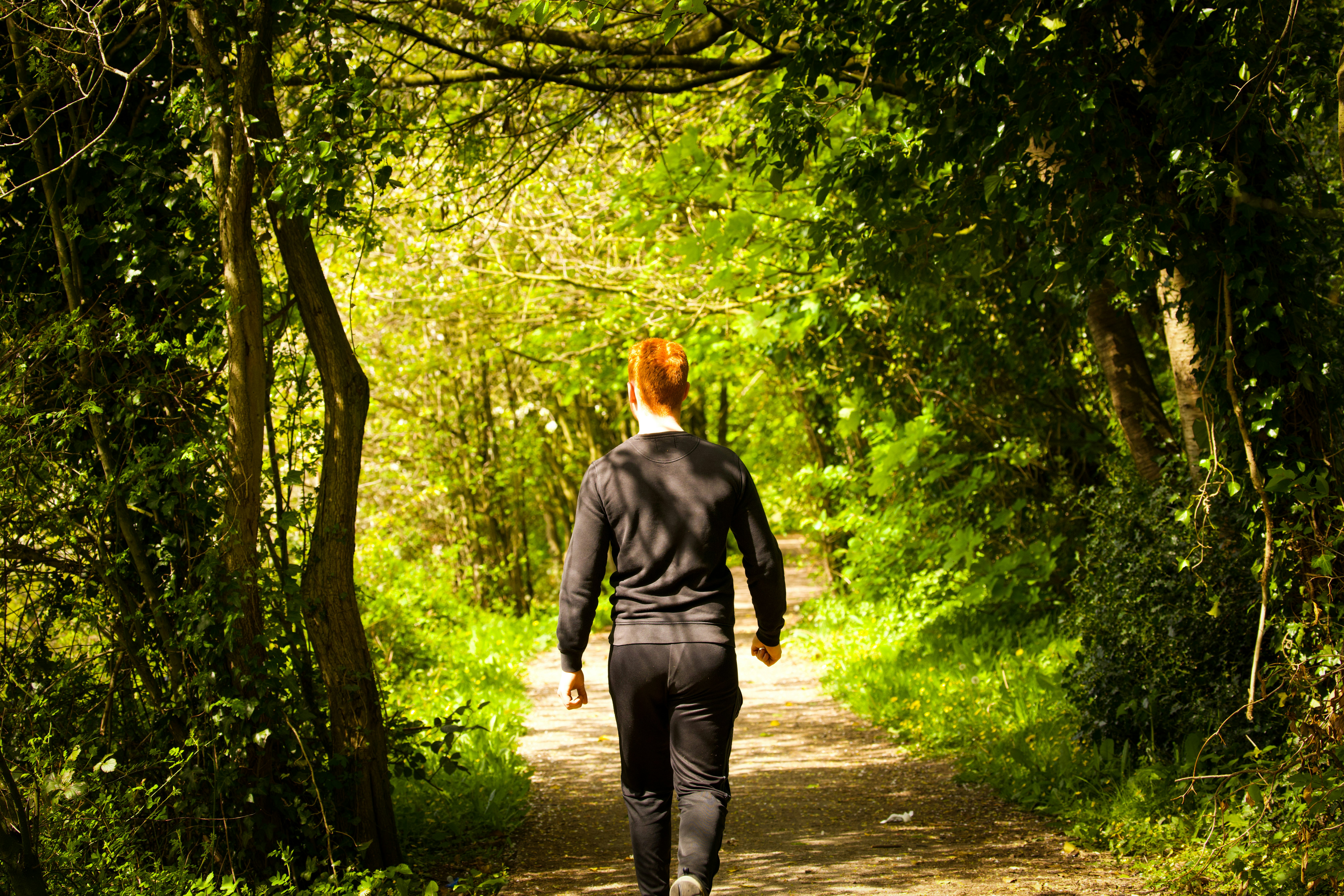Wandelen in het bos